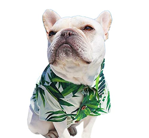 ICOUCHI  An tVc tďH ^ hbOEFA  ʋC nCVc Lp m Ăh Eѕی IV t@bV  RX`[ U o pW} xXg 㒅 lC