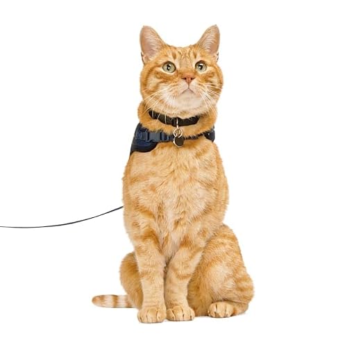 Youly by Petco Star and Moon Full Cat Harness Small/Medium