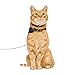 Youly by Petco Star and Moon Full Cat Harness Small/Medium