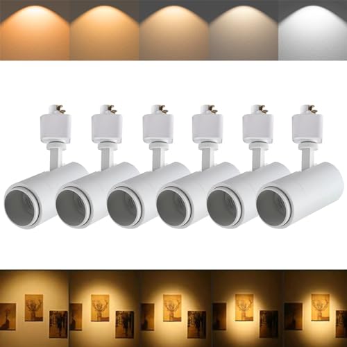 Ajbvp 5-Color LED Track Lighting Heads 12W Dimmable,Adjustable Beam...
