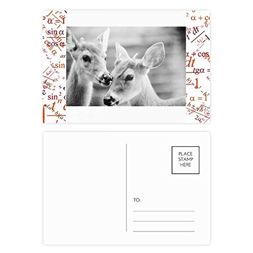 Cartes postales cerf DIYthinker pour écrire un grand merci de vacances