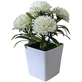 Décoration d'intérieur polyvalente : parfait pour améliorer les salons, les chambres, les bureaux, ou tout espace nécessitant des accents floraux élégants.