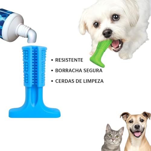 Mordedor Escova de Dentes Brinquedo Dental Pet.