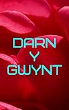  Darn y Gwynt (Welsh Edition)