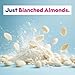 JOI Almond Milk Plant-Based Milk Powder, Non-Dairy Milk Substitute, No Preservatives, No Gums, No Added Sugar, Vegan, Non-GMO, Kosher, 10g Protein per Serving, Up to 32 Servings, 1.42 lb (644 g)