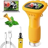 Mikroskop für Kinder, Ashfly 1000X Taschenmikroskop mit 2,0' IPS-Bildschirm USB Microscope Lupe, 8 LED Lights -Anschluss an PC, Mini-Kindermikroskop für Ostern Spielzeug - Orange
