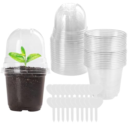 RNPKZ - RNPKZ Lot de 20 pots de culture, transparents, avec dôme d'humidité et prise pour plantes, 9 cm, petits pots de fleurs, ronds, en plastique, pour semis et plantes succulentes