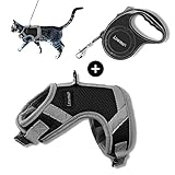 Consejos: Louma. Muy práctica en entornos urbanos, una bolsa de transporte permite llevar tu compañero a cualquier lugar con total seguridad. LOUMA recomienda un arnés para pasear a tu mascota para evitar cualquier peligro de estrangulación relacionado con un collar no adaptado o mal ajustado.