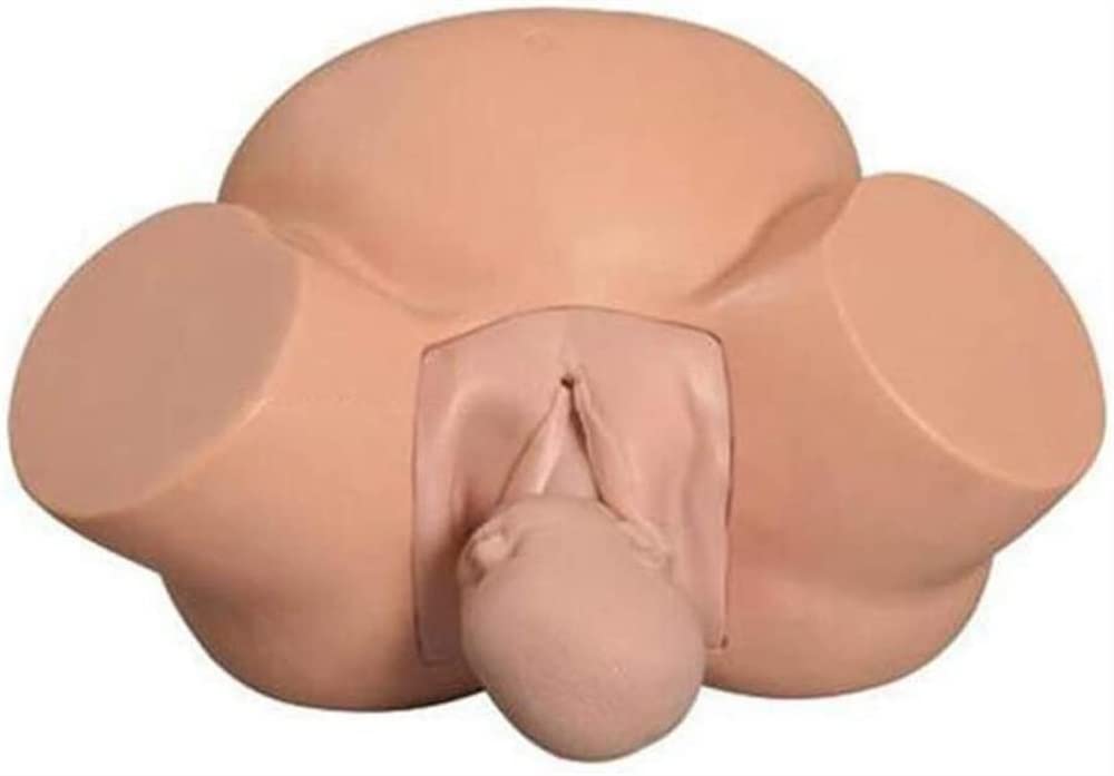 Modèle Éducatif D'anatomie, Modèle De Démonstration De L'accouchement Féminin, Simulateur D'accouchement pour Modèle Anatomique D'enseignement De Gynécologie Médicale, Matériel Didactique Standard