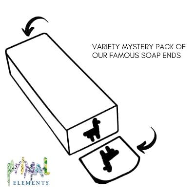 Primal Elements Soap Box Sampler - Mystery Box of a Variety of Unisex Bar Soap (GRABBAG) - Unique Designs, Rich Lathering, Moisturizing, and Wonderful Scented Glycerin Soaps