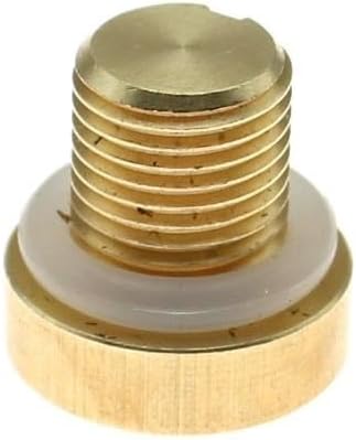 Replacement Coolant Tank Bleeder Screw Brass Coolant Reservoir Screw for BMW E46 E92 E90 E36 E39 DaJiKan