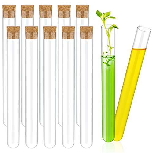 10 Stück Reagenzgläsern,Reagenzglas mit Korken,Transparent Reagenzgläser,Reagenzgläser Hartplastik,Reagenzglas mit Korken Kunststoff,15ml Kunststoff Reagenzgläser,Blumen Badesalz Gewürze Hochzeit Cover