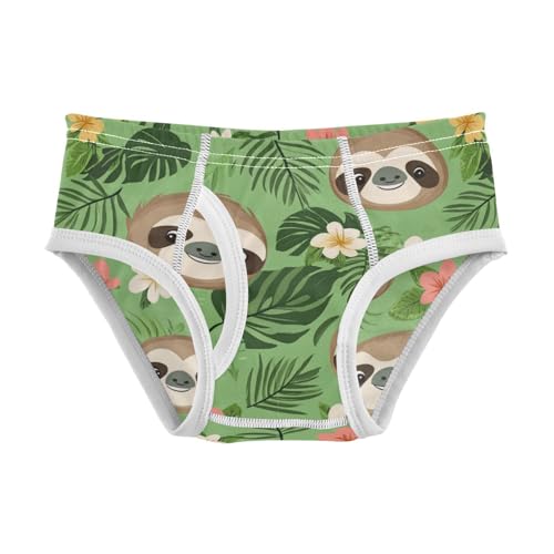 Wusikd Cute Sloth Face Boys' Underwear Cotton Tropical Leave Boys Briefs Soft Toddler Underwear 2T