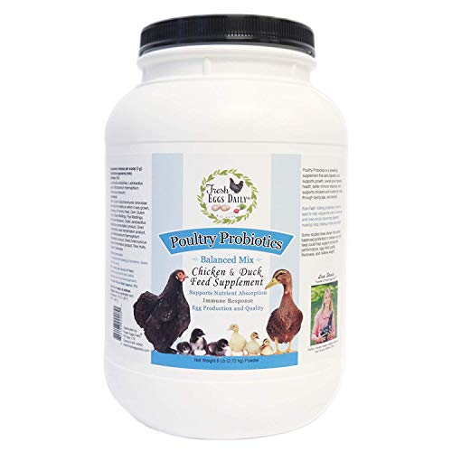 Fresh Eggs Daily Poultry Probiotics Chicken & Duck Feed Supplement 6LB