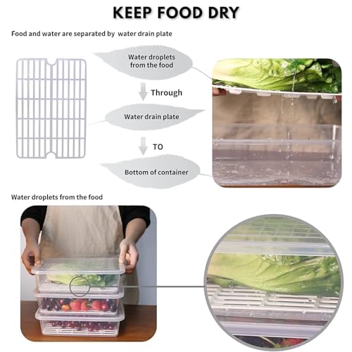 Image of GO STORE Pack of 2 Plastic Storage Containers Set for Kitchen | Freezer Storage Containers, Kitchen Storage Set, Fridge Storage Boxes for Fish, Meat, Vegetables, Fruits | Transparent (2500 ML)