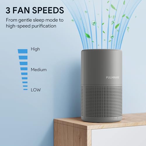 Image of FULMINARE Air Purifiers for Bedroom H13 True HEPA Air Filter, Quiet Air Cleaner With Night Light, Portable Small Air Purifier for Home, Office, Living Room (Gray)