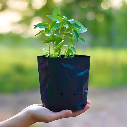 Image of Go Garden Big Size 20 X 20 Inch Grow Bags for Terrace Gardening, Large Plants, and Trees | Pack of 30 | Durable and Reusable | Ideal for Leafy Vegetables and Hybrid Plants