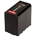 Produktbild HEDBOX RP-VBD78 - Li-Ionen Akku (57.7Wh / 7800mAh) Ersatz für Panasonic VW-VBD78
