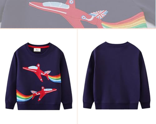 Boys Sweatshirts Casual Sweatshirts Cotton Sweatshirts Long Sleeve T-shirts Crew Neck Cartoon Tops for Boys-5474