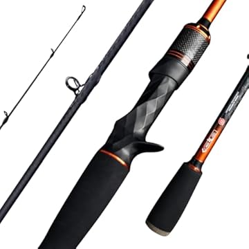 best baitcasting rods for saltwater