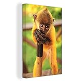 affenbabys geklont Viele Größen: Unsere Bilder sind in vielen Größen erhältlich. Sie können zwischen kleinen Größen (20 x 30 cm) und XXL-Größen (90 x 140 cm) wählen.