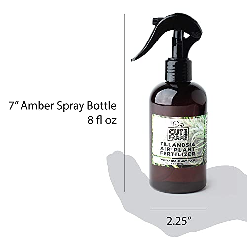Cute Farms Tillandsia Air Plant Fertilizer | Gentle Weekly Use Formula Plant Food With Care Guide | Formulated Nutrients For Air Plants (8 Oz. Spray Bottle) #TOP6