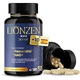 Lionzen