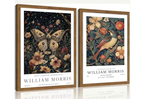 William Morris Bird and Moth Framed Wall Art, 2 Piece Set, 12x16