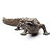 CollectA Prehistoric Life Sarcosuchus Toy Dinosaur Figure - Authentic Hand Painted & Paleontologist Approved Model, 7.3