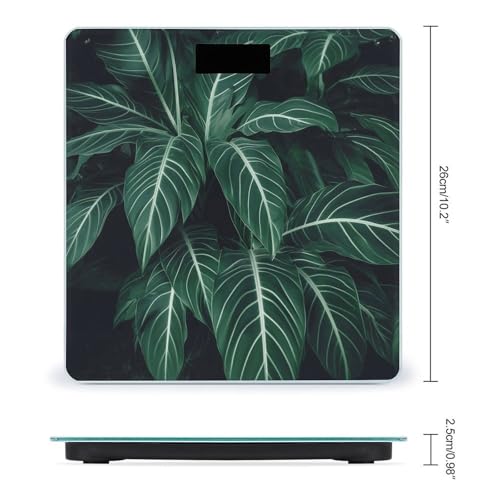 Báscula digital de baño con vidrio templado 400 lb miniatura 2