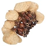 Mikinona African Dance Bracelet aus Natürlichen Nussschalen Afrikanisches Percussion-handgelenkband Leichter Shaker für Yoga Festival Party Handgefertigtes Tribal-musikinstrument