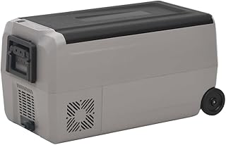 Cocina y comedor-Alimentos y bebidas - Nevera con rueda y asa, color negro y gris, 50 L, PP y PE