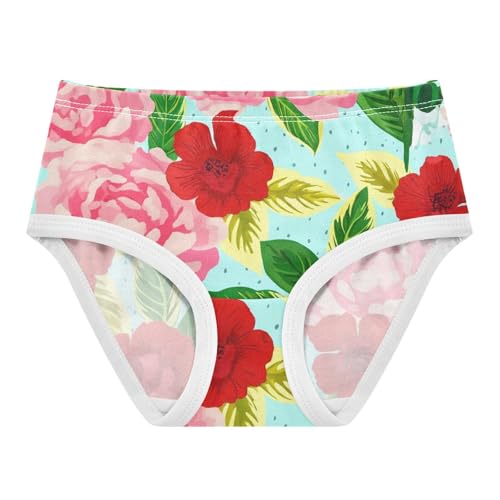 Cotton Girls Underwear Toddlers Red Pink Floral Blue Cute Panties Girl Funny Briefs Kids Undies 2t