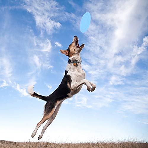 YON.SOU. Dog Agility Training Equipment, Obstacle Course Training, (with Dog Agility rods Jump& Hoops, Agility Tunnel Frisbee Training Whistle, Carrying Bag) (Dog Obstacle)