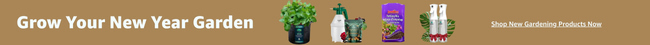 Grow Your New Year Garden