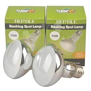 Lucky Herp lot de 2 ampoules chauffantes R80 75 W, culot E27