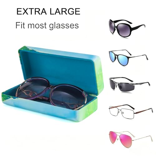 Image of TRIUMPH VISION Sunglasses Case Hard Shell Glasses Case Eyewear Eyeglasses