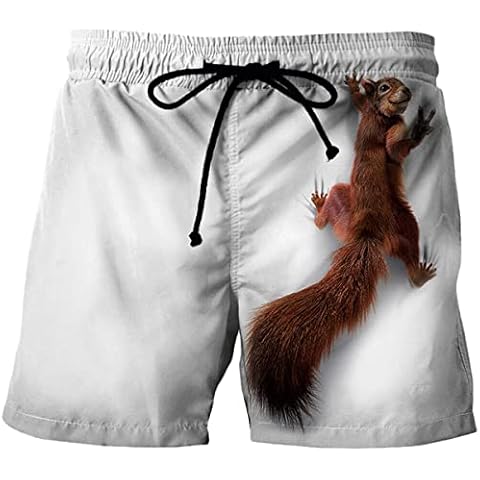 Zouyeeph 3D Squirrel Print Beach Shorts Cover