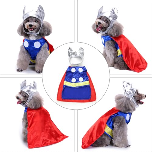 Disfraz Halloween para perro tamaño mediano miniatura 5