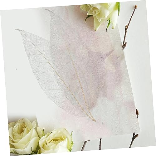 NOLITOY 200 Unidades Espécime De Folha De Magnólia Decoração De Casamento Marcador De Flor Prensado