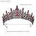 Feltent Black Red Tiara for Women Crystal Queen Crowns Rhinestone Princess Tiaras for Women Wedding Headband for Bride Hair Accessories for Halloween Costume Birthday Party Prom Mother's Gifts