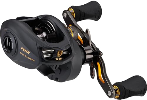 PENN Fathom moulinet de pêche profil bas, pour pêche côtière et en eau salée, Jigging, Jig, appâts et leurres, unisexe, noir doré, 400, main gauche