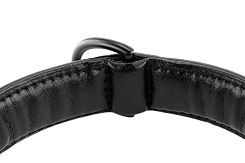 Brute Strength Hundehalsband aus Leder - Schwarz mit schwarzen Nähten - XXL - 66-73 cm