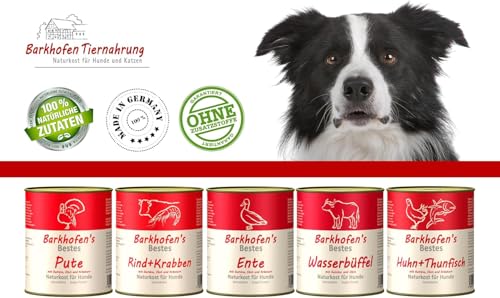 Barkhofen Tiernahrung Nassfutter für Ihren Hund 6X 800 g – Hundefutter nass & getreidefrei mit Rind & Kaninchen – Hunde Futter in Dosen ohne Getreide