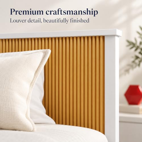 Image of Bniture Modern Low Height King Size Bed Without Storage | Engineered Wood Platform Bed Headboard | Bed King Size Wooden Cot Double Bed for Bedroom 3 Year Warranty (Frosty White & Giant Wood)