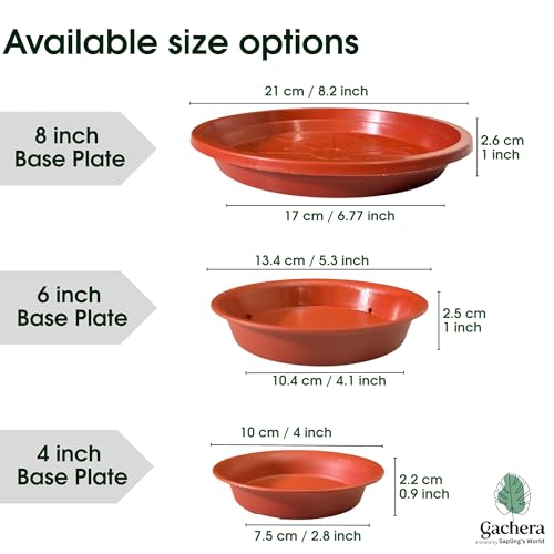 Image of Plant Saucer Base Plate for Pots | Premium Planter Tray |100% Virgin Plastic, UV Treated, Durable & Lightweight | Ideal for Indoor & Outdoor (5, 6 inch Tr)