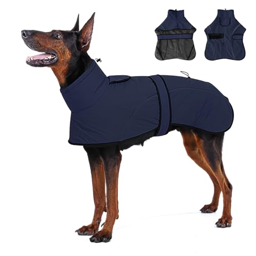 Dotoner Cappotto Impermeabile per Cani,Cappottino Cani,con Foro Guinzaglio e Bande,Giubbotto cane Antivento Invernale Termico con Bretchie Regolabile per Cane Taglia Piccola, Media e Grande