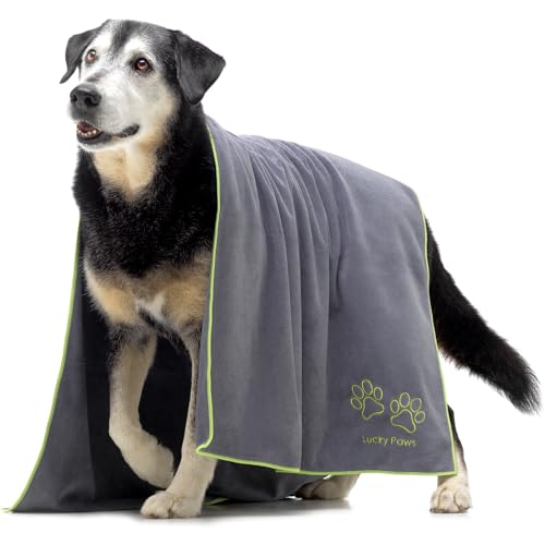 Lucky Paws UK Dog Towel Extra Large 140x70cm Dog Towels Super Absorbent Luxuriously Soft Fast Drying Dog Towels for Drying Dogs Premium Microfibre Dog Towel (Pack of 1 Grey)