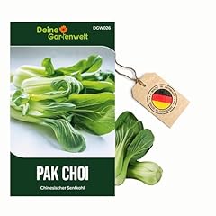 Pak Choi Chinesischer Senfkohl Samen - Brassica rapa - Kohlsamen - Gemüsesamen - Saatgut für 60 Pflanzen