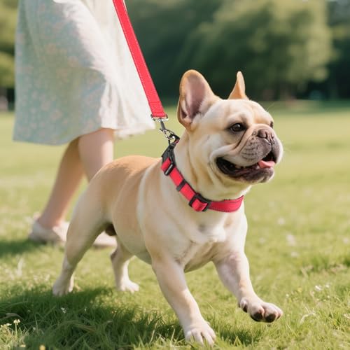 Image of Joytale Reflective Dog Collar,Soft Neoprene Padded Breathable Nylon Pet Collar Adjustable for Medium Dogs,Red,M